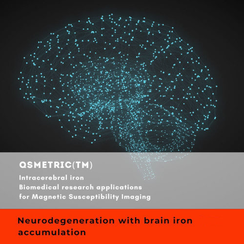 QSMetric Potential Indications – Neurodegeneration with brain iron accumulation